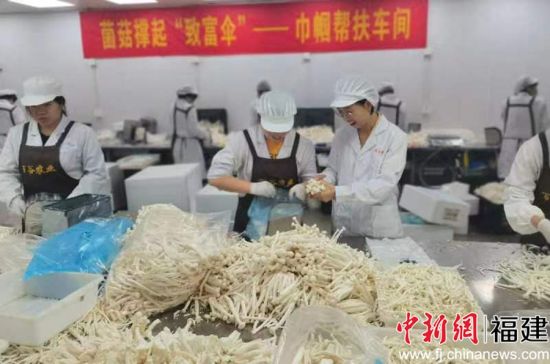 圖為巾幗幫扶車間現場。