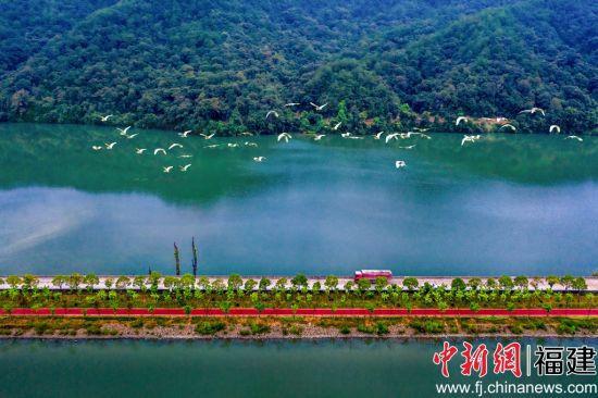  圖為三明市將樂縣?？诖宄Ｔ春挚叼B慢道。