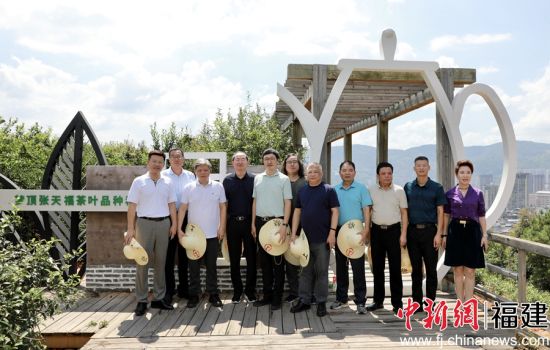 　　福建省文化名家走進寧德職業技術學院，參觀寧德職業技術學院夢頂張天福茶園。 寧德職業技術學院 供圖