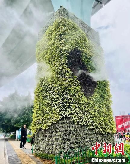 8月31日，美格農藝參與的廈門BRT綠化建設工程，把廈門裝點得更加美麗迷人?！?美格農藝 供圖)